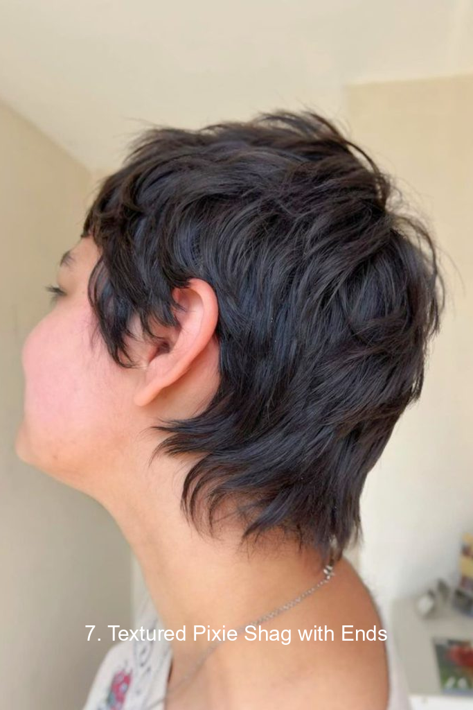 7. Textured Pixie Shag with Ends